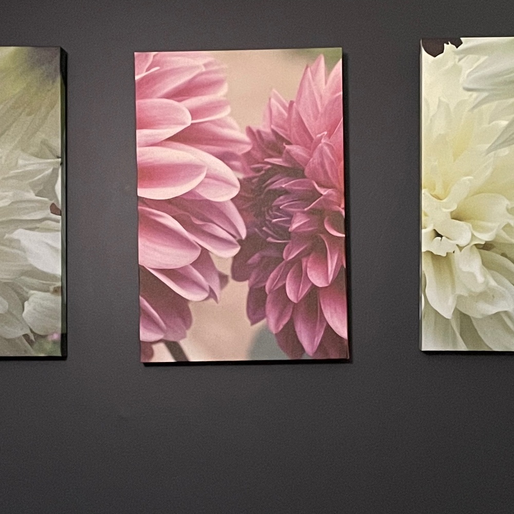 Meet your Posher, Barbara-Jean